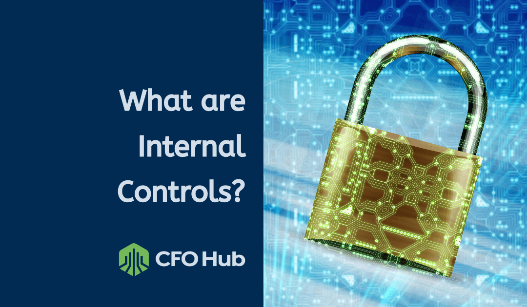 What are internal controls?