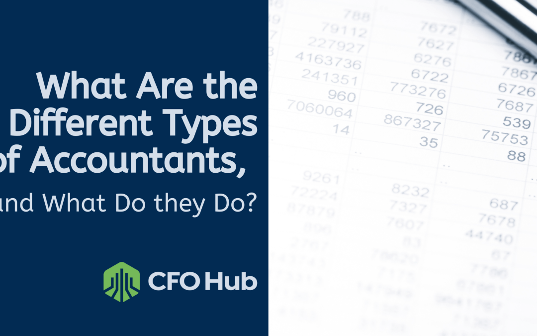 What Are the Different Types of Accountants, and What Do they Do?