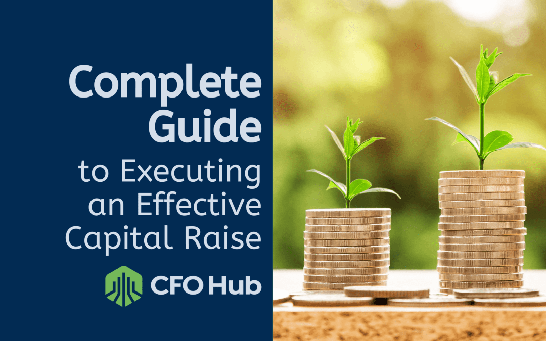 Complete Guide to Executing an Effective Capital Raise