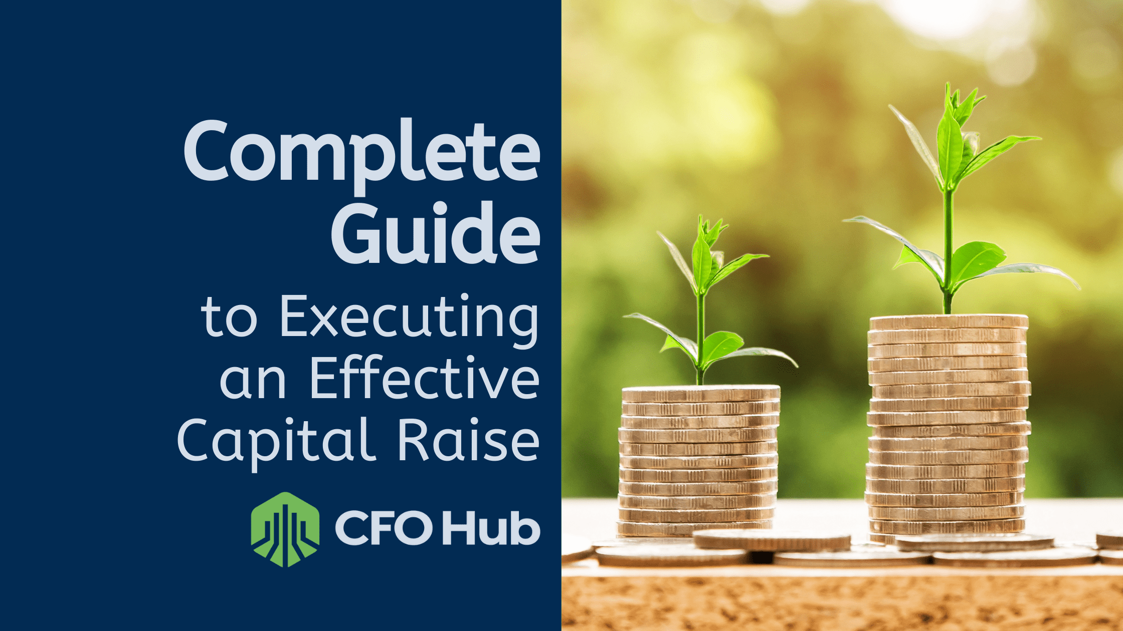 Image shows a graphic with a dark blue background on the left, containing the text "Complete Guide to Effective Execution of a Capital Raise" and the logo of CFO Hub beneath it. On the right side, there are two stacks of coins with green seedlings growing from them, set against a blurred natural background.