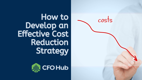 How To Develop An Effective Cost Reduction Strategy - Cfo Hub