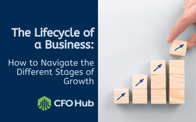 The Lifecycle of a Business: How to Navigate the Different Stages of Growth