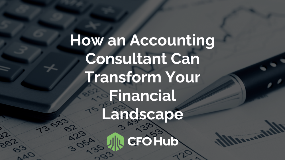 How an Accounting Consultant Can Transform Your Financial Landscape