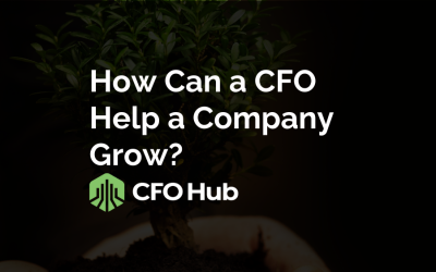 How Can a CFO Help a Company Grow?