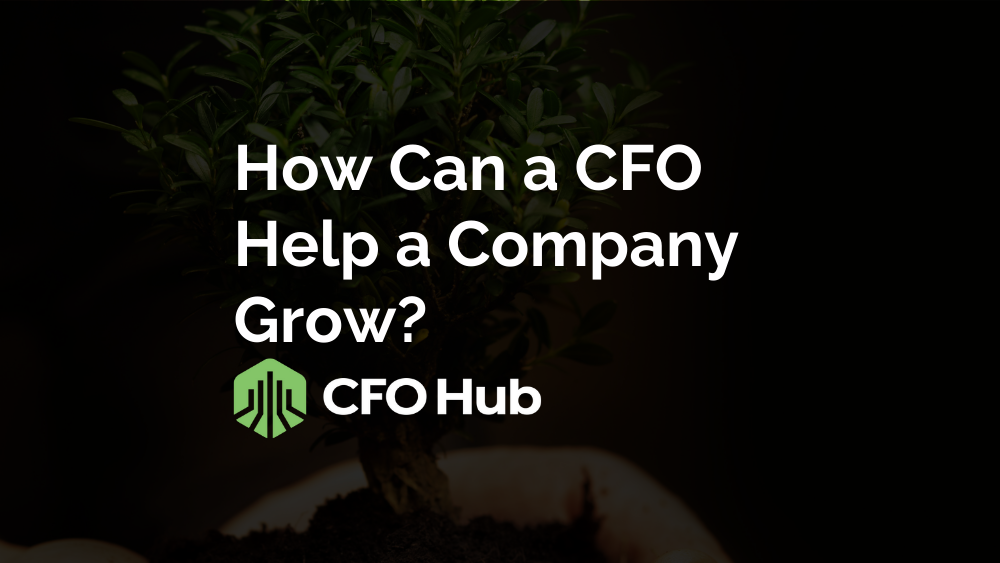 How Can a CFO Help a Company Grow?