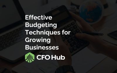 Effective Budgeting Techniques for Growing Businesses
