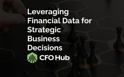 Leveraging Financial Data for Strategic Business Decisions