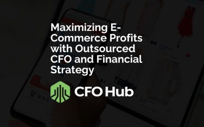 Maximizing E-Commerce Profits with Outsourced CFO and Financial Strategy