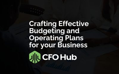 Crafting Effective Budgeting and Operating Plans for your Business